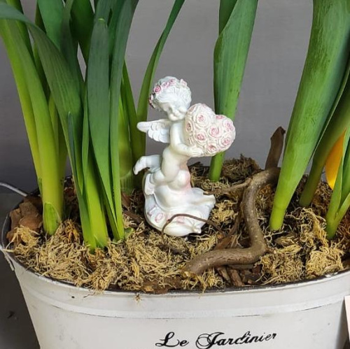 Кашпо с луковичными первоцветами S (тюльпаны, нарциссы) 28845