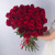 Букет из 51 Красной розы 60 см арт. 7298