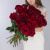 Роза красная Эквадор 60 см Букет от класса ПОШТУЧНО арт. 902