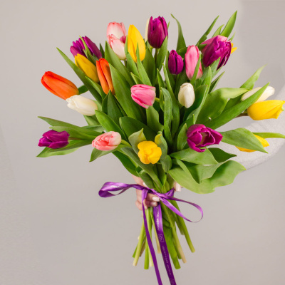 Тюльпаны 25 шт. МИКС (без упаковки) 7338